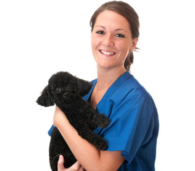 Woman Vet with Dog
