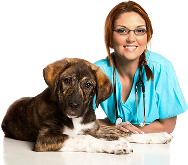 Woman Vet with Dog
